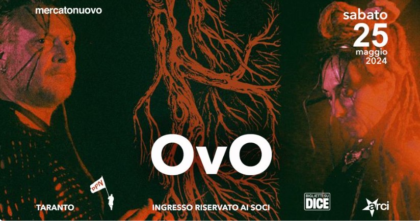 Ovo in concerto