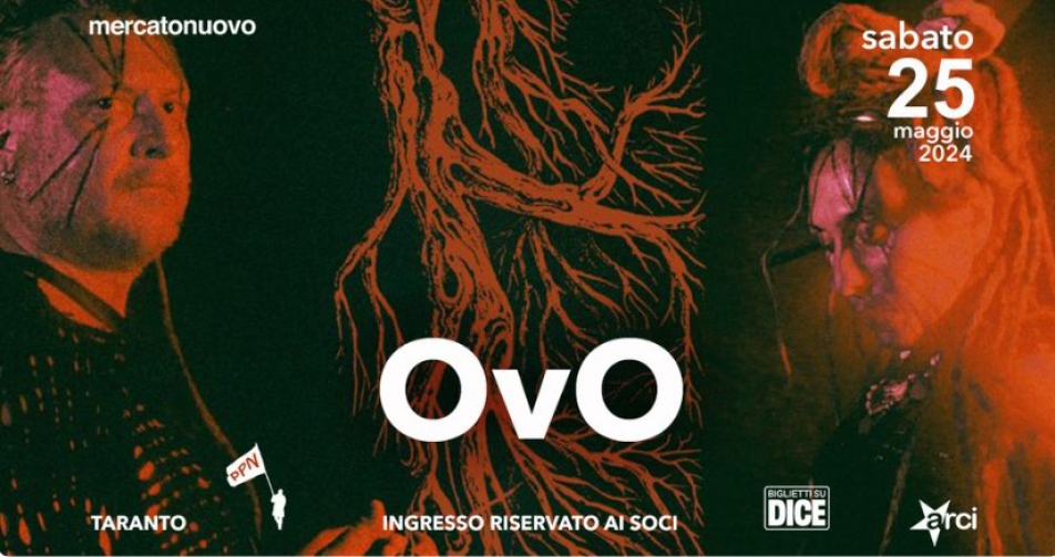 Ovo in concerto